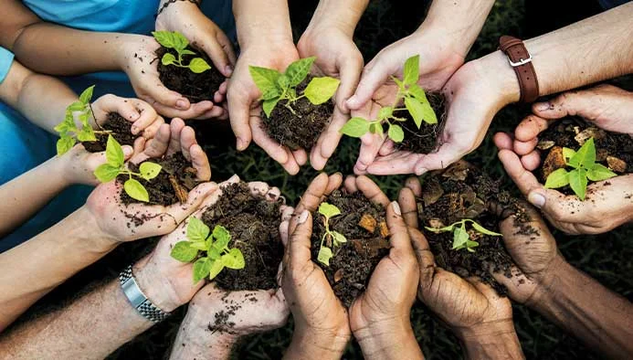 Asolvi becomes PrintReleaf ambassador to help promote sustainable growth